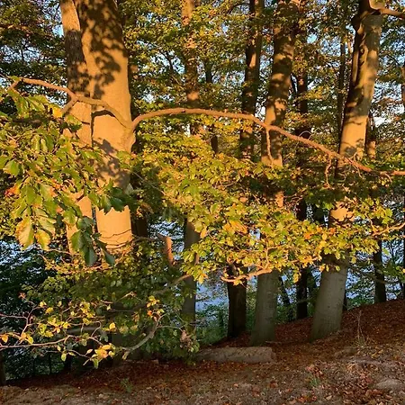 Buczyna W Sierakowie * Sierakow (Greater Poland)