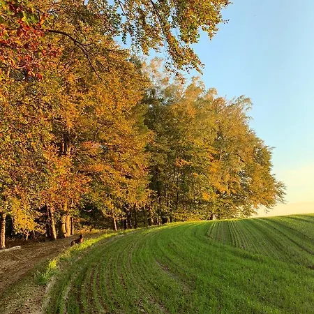 Buczyna W Sierakowie Appartement *
