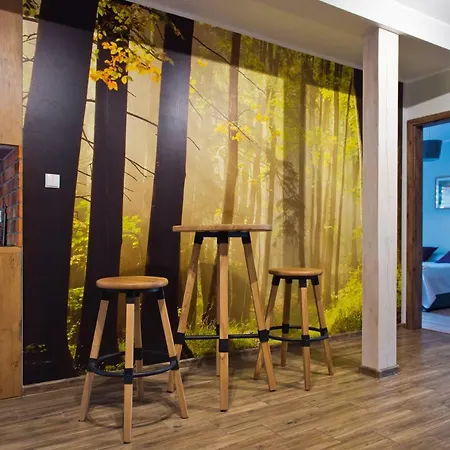 Buczyna W Sierakowie Appartement *