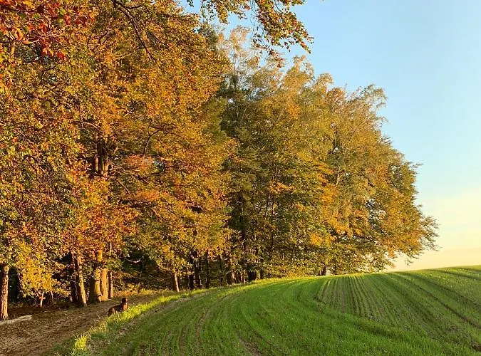 Buczyna W Sierakowie Apartment *