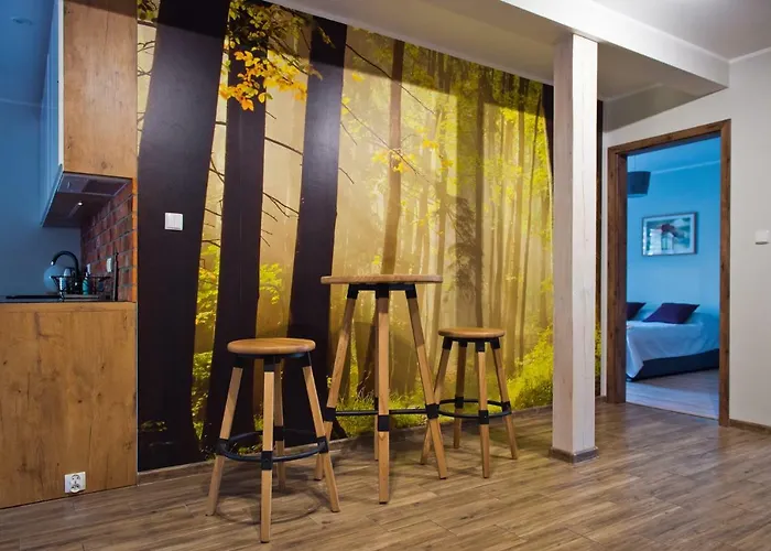 Buczyna W Sierakowie Apartament *